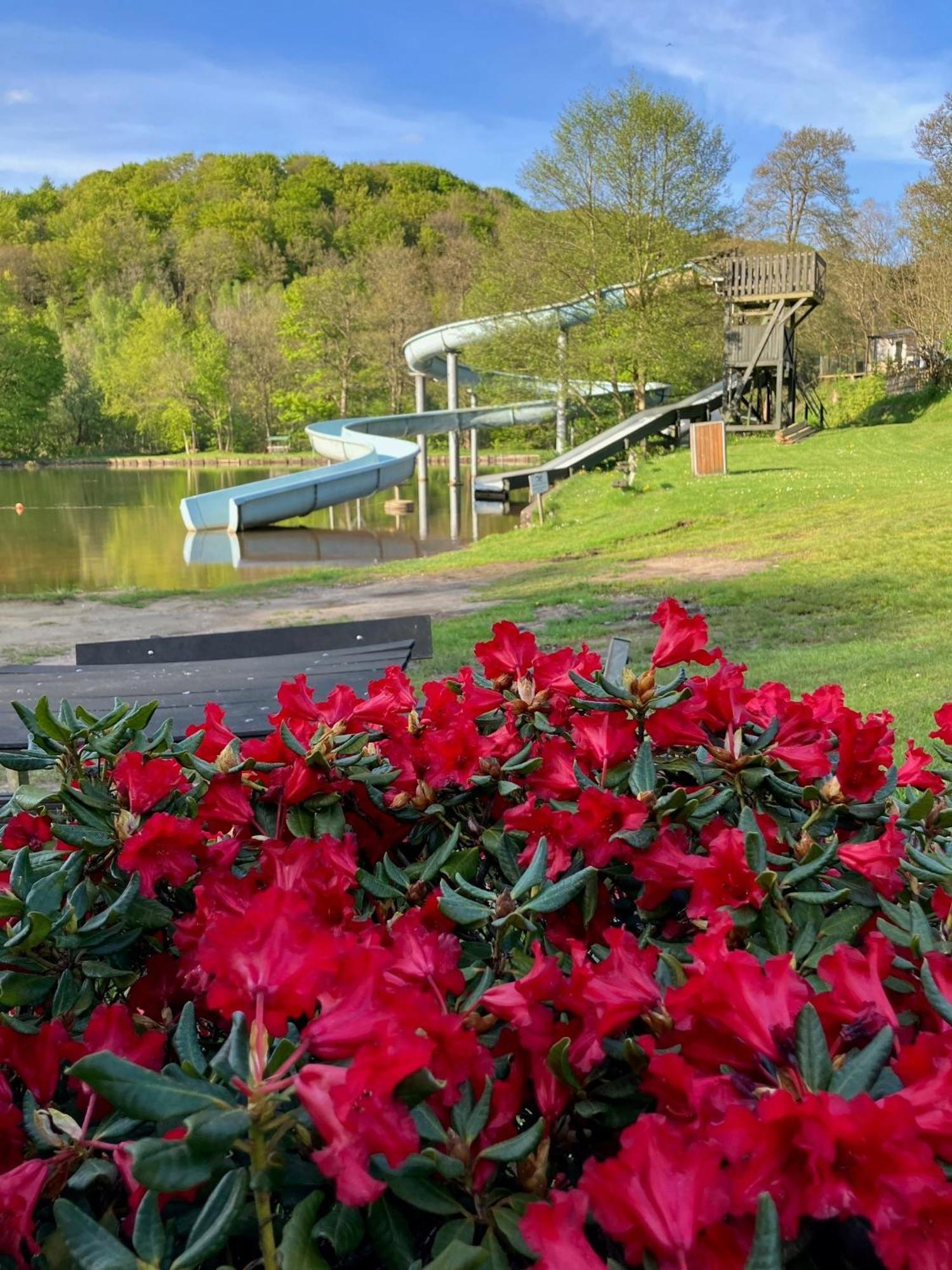 Randboldal Camping & Cabins Exterior photo